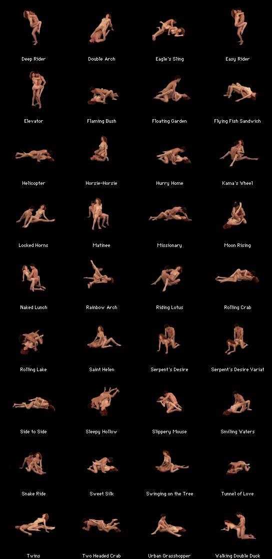 Different sex positions chart-adult gallery